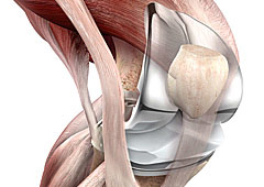 Dr. med. Konrad Scheuerer Orthopäde Unfallchirurgie München